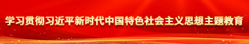 操逼网站观看学习贯彻习近平新时代中国特色社会主义思想主题教育